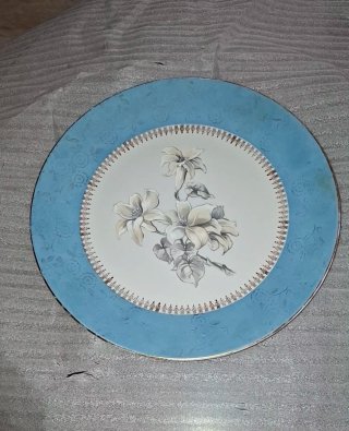 Plato llano 24cm MZ Moritz Zdekauer Czechoslovakia