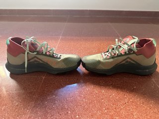 Nike Pegasus Trail 4 GORETEX Beige/ verde azulado