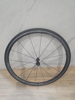 Rueda Delantera Campagnolo Zonda Zapata