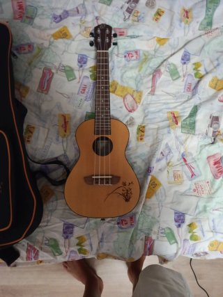 Funda para guitarra Ortega