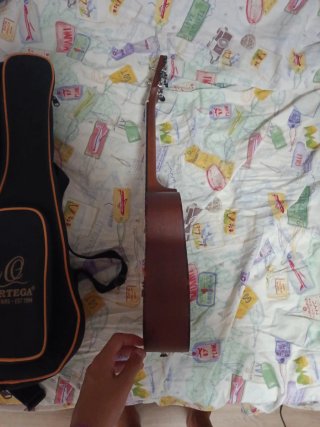 Funda para guitarra Ortega