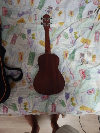 Funda para guitarra Ortega