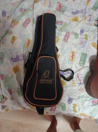 Funda para guitarra Ortega