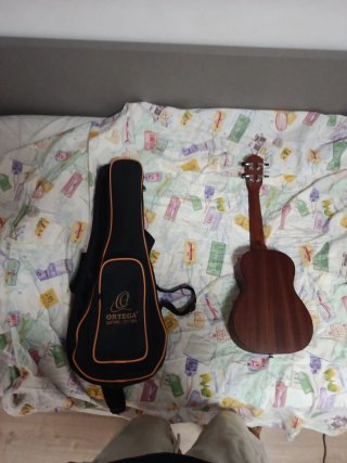 Funda para guitarra Ortega