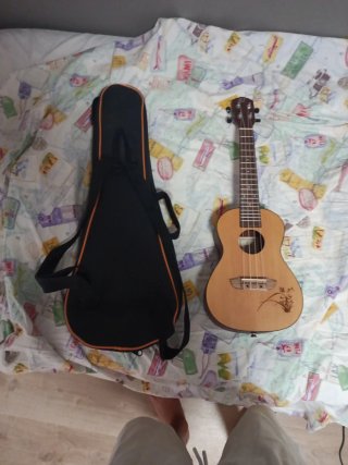 Funda para guitarra Ortega