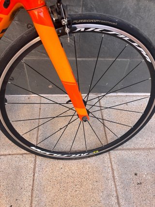 Orbea Orca