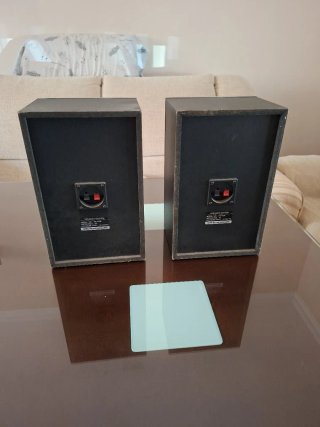 Altavoces Samsung Negros