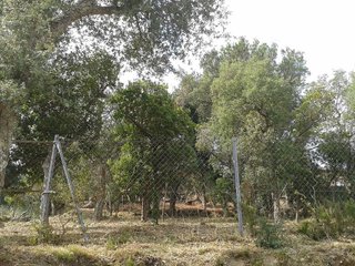Terreno en venta en Mas Pere-Río de Oro en Calonge