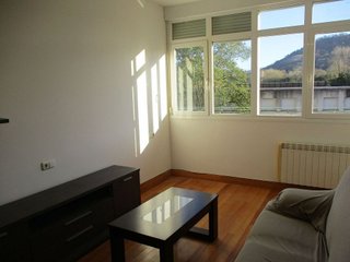 Piso en venta en Beraun - Pontika en Errenteria