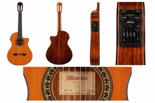 Alhambra 5P A Estrenar + Fishman Prefix Pro Blend