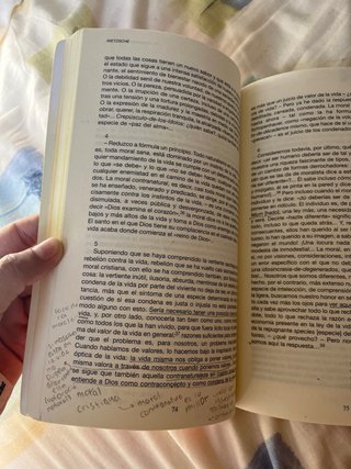 Nietzsche crepúsculo de los ídolos
