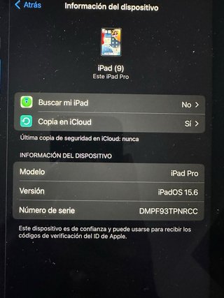 iPad Pro 11 2ª Gen Wi-Fi Plata con apple pencil