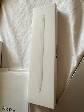 iPad Pro 11 2ª Gen Wi-Fi Plata con apple pencil