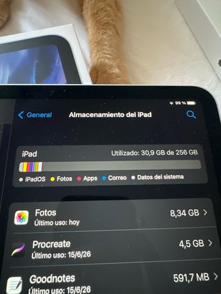 iPad Pro 11 2ª Gen Wi-Fi Plata con apple pencil