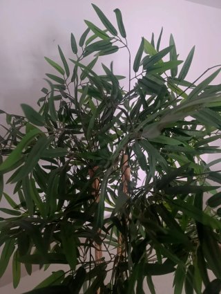 Planta Bambú Artificial Grande