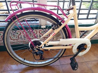 Bicicleta 24 Denbike Ethnic