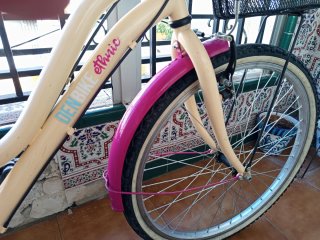 Bicicleta 24 Denbike Ethnic