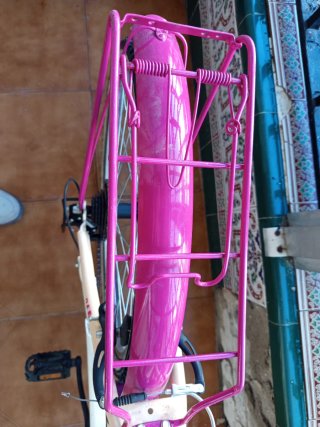 Bicicleta 24 Denbike Ethnic