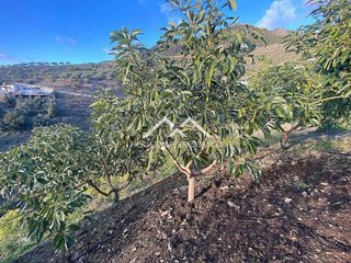 Terreno en venta en Frigiliana