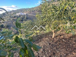 Terreno en venta en Frigiliana