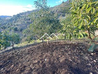 Terreno en venta en Frigiliana