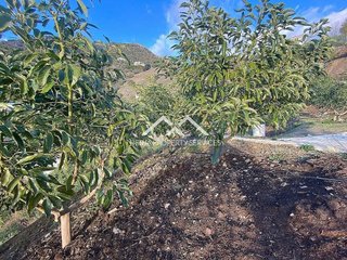 Terreno en venta en Frigiliana