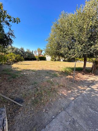 Terreno en venta en Palomares del Río