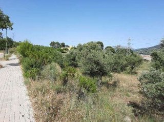 Terreno en venta en Divina Pastora en Alicante