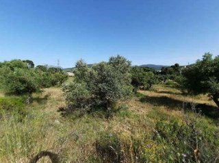 Terreno en venta en Divina Pastora en Alicante