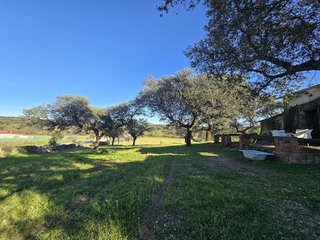 Terreno en venta en Zona Sur-Av. de España-San Miguel en Plasencia