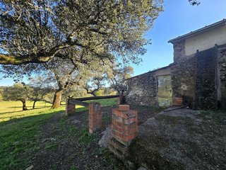 Terreno en venta en Zona Sur-Av. de España-San Miguel en Plasencia