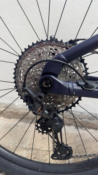 Orbea Wild H10 Talla L (2026)