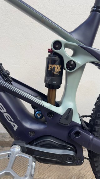 Orbea Wild H10 Talla L (2026)