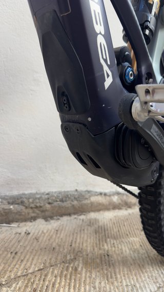 Orbea Wild H10 Talla L (2026)