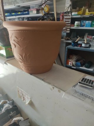 Maceta terracota palmera