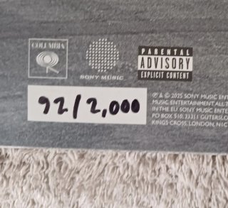 Manic Street Preachers Critical Thinking LP