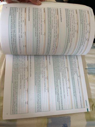 Lengua castellana y literatura 2 BACH