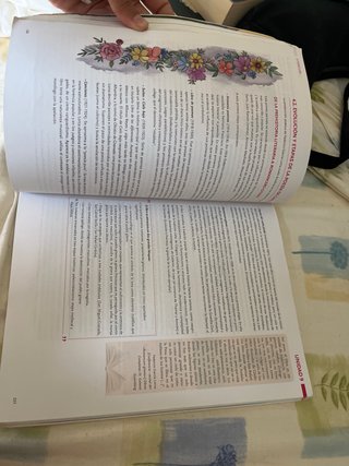 Lengua castellana y literatura 2 BACH