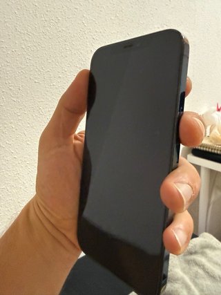 iPhone 12 Pro Max 256GB Azul/Gris