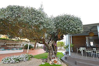 Chalet en venta en Costa Norte en Vinaròs