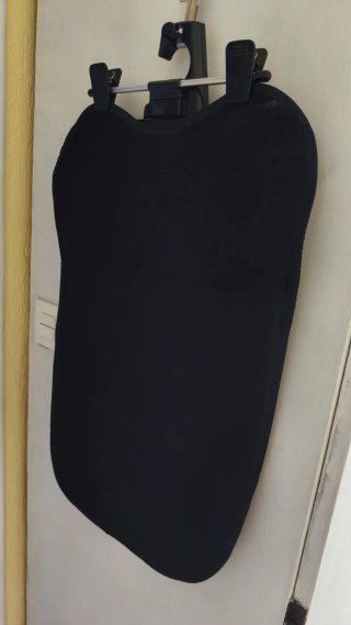 Plancha de vapor vertical