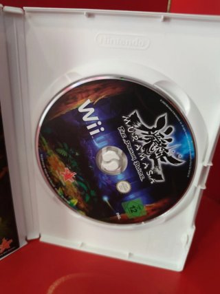 Muramasa The Demon Blade Wii