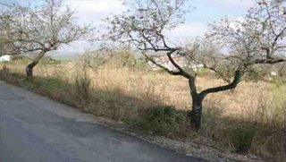 Terreno en venta en Santa Magdalena de Pulpis