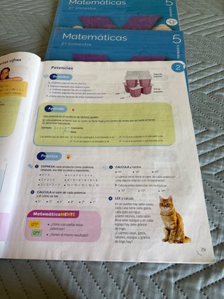 MATEMATICAS M LIGERA 5 PRIMARIA CONSTRUYENDO MU...