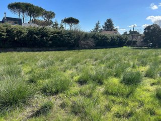 Terreno en venta en Guadarrama