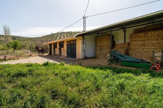 Casa rural en venta en Iznalloz