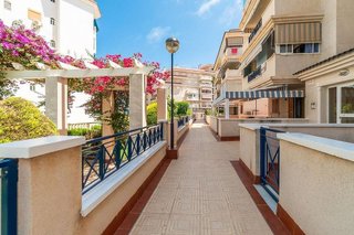 Piso en alquiler en Torrelamata - La Mata en Torrevieja