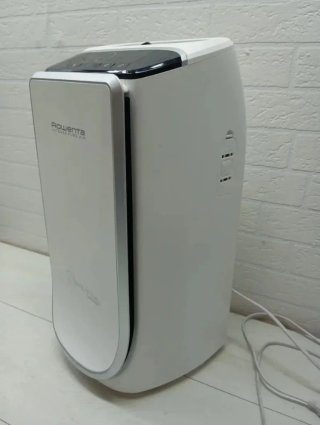 Purificador Rowenta Intense Pure Air