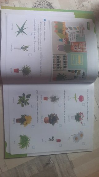 Natural science 2 primaria outside the box By ME