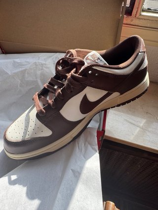 Nike Dunk Marrón y Blanco